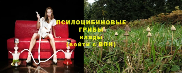 PSILOCYBIN Алексин